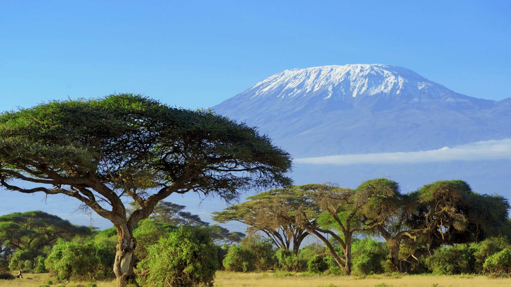 Mountains of Tanzania mount kilimanjaro